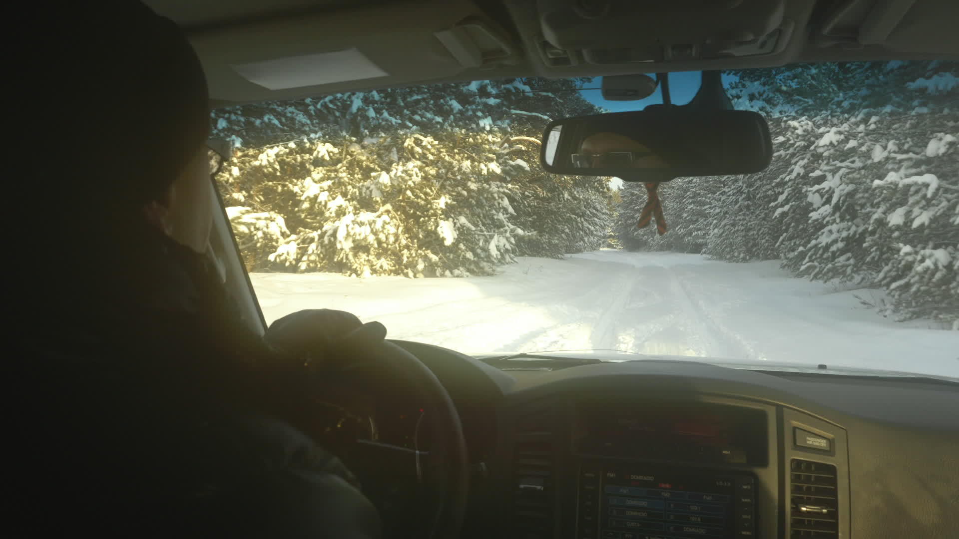一对夫妇穿过雪地森林视频的预览图