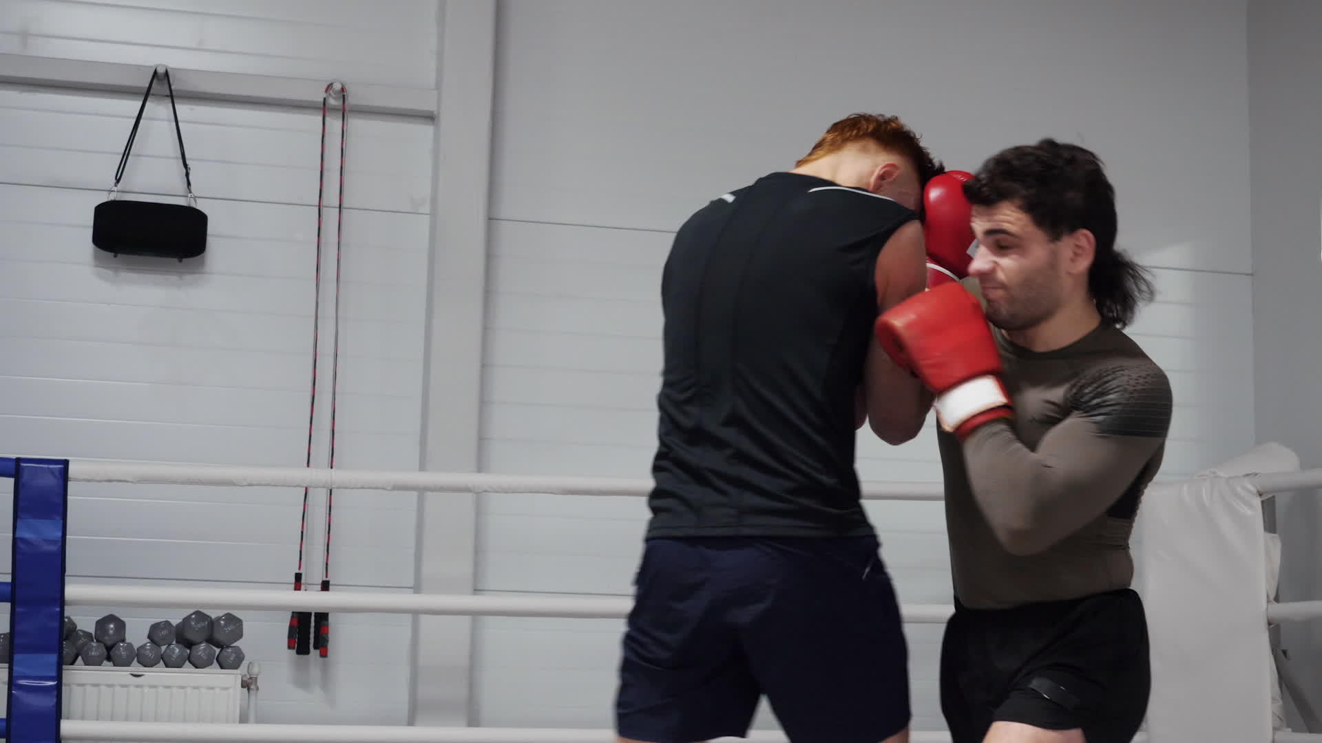 在拳击场上用反重击击败两名参与者参加搏击俱乐部视频的预览图
