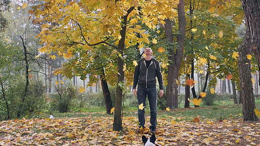 快乐的人和狗一起看树叶视频的预览图