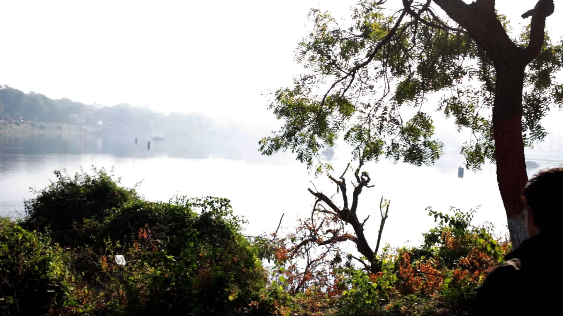 看着湖边丛林中壮观的景色视频的预览图