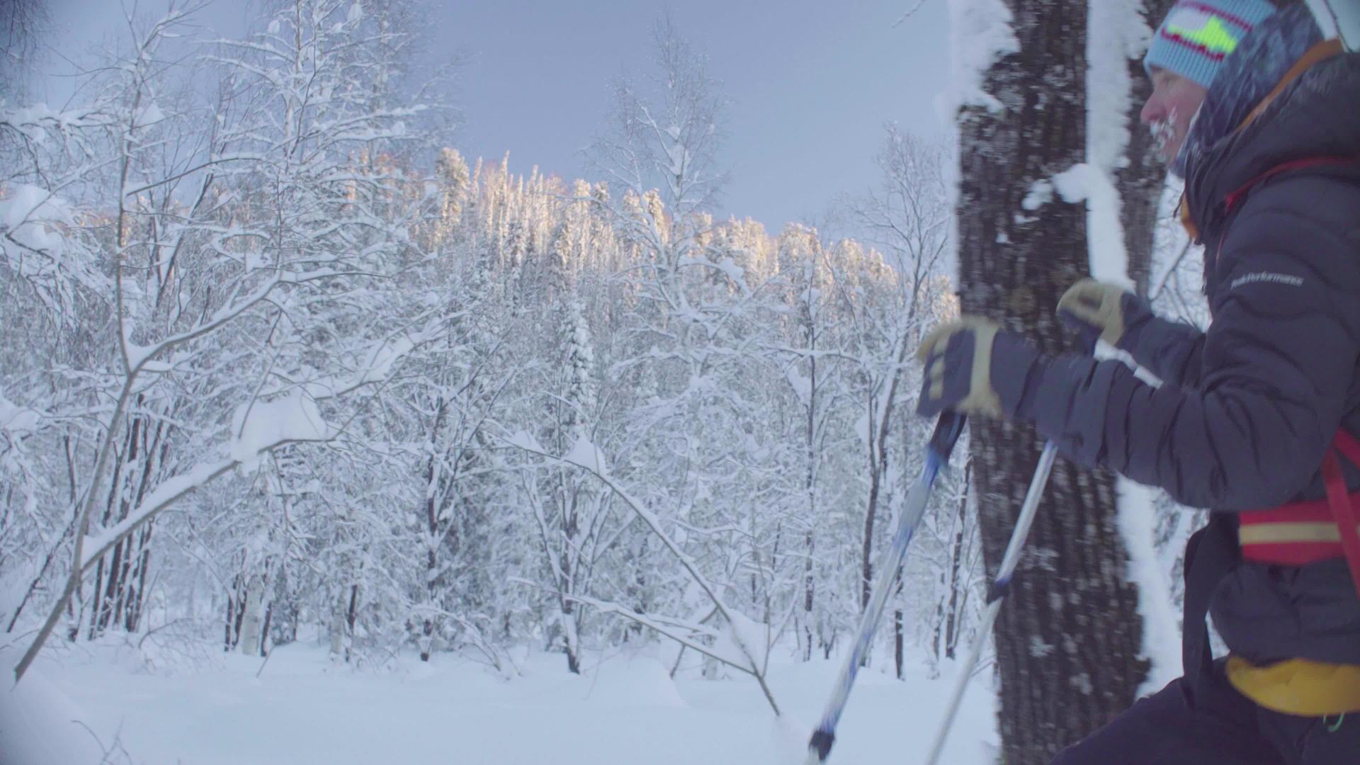 一名男子在雪地森林滑雪上的肖像视频的预览图