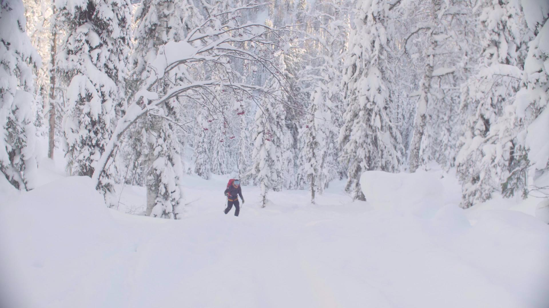 在西伯利亚滑雪一个人在白雪覆盖的森林里滑雪视频的预览图
