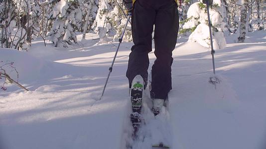 男人在雪林里滑雪视频的预览图