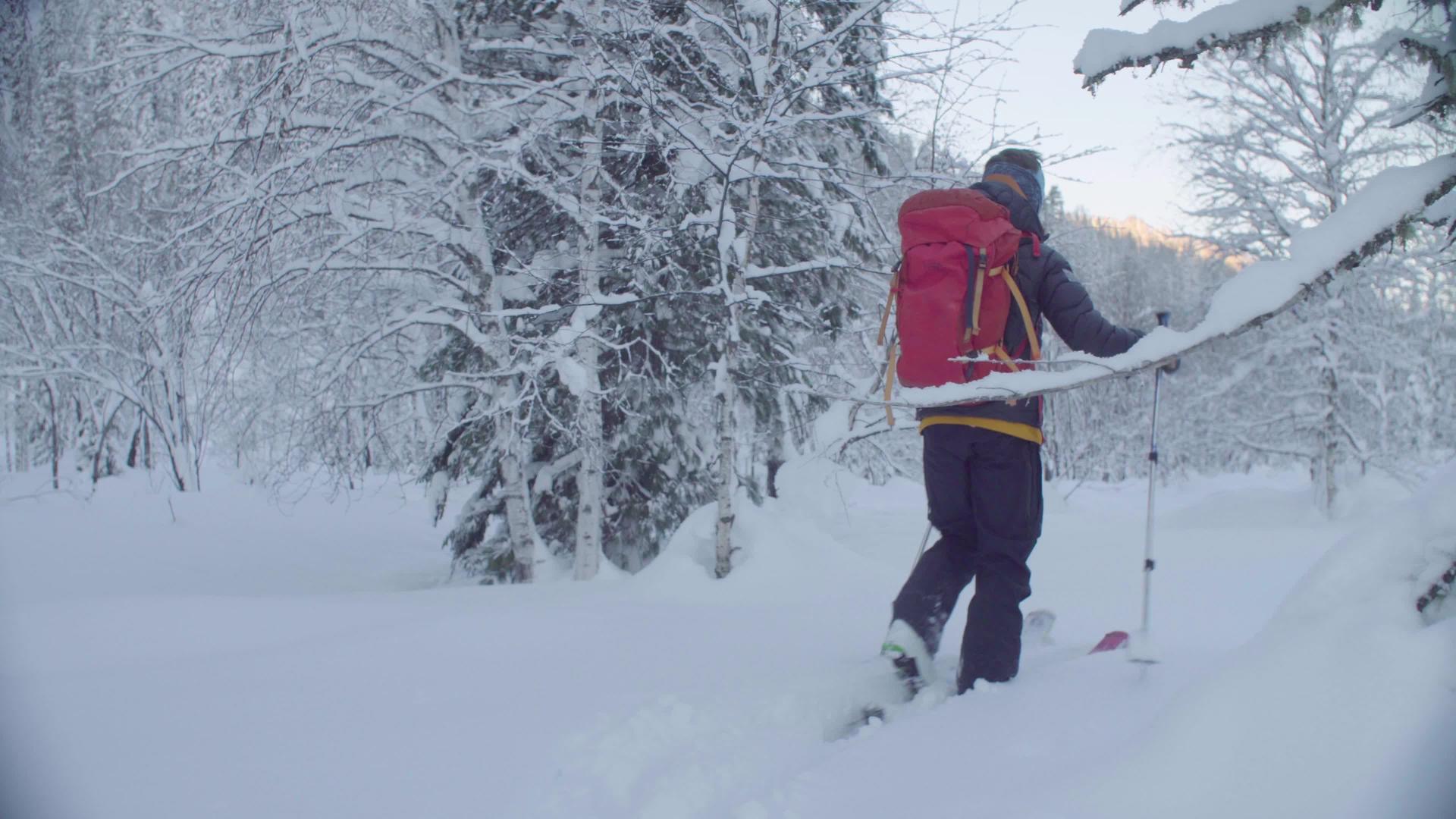 在西伯利亚滑雪一个人在白雪覆盖的森林里滑雪视频的预览图