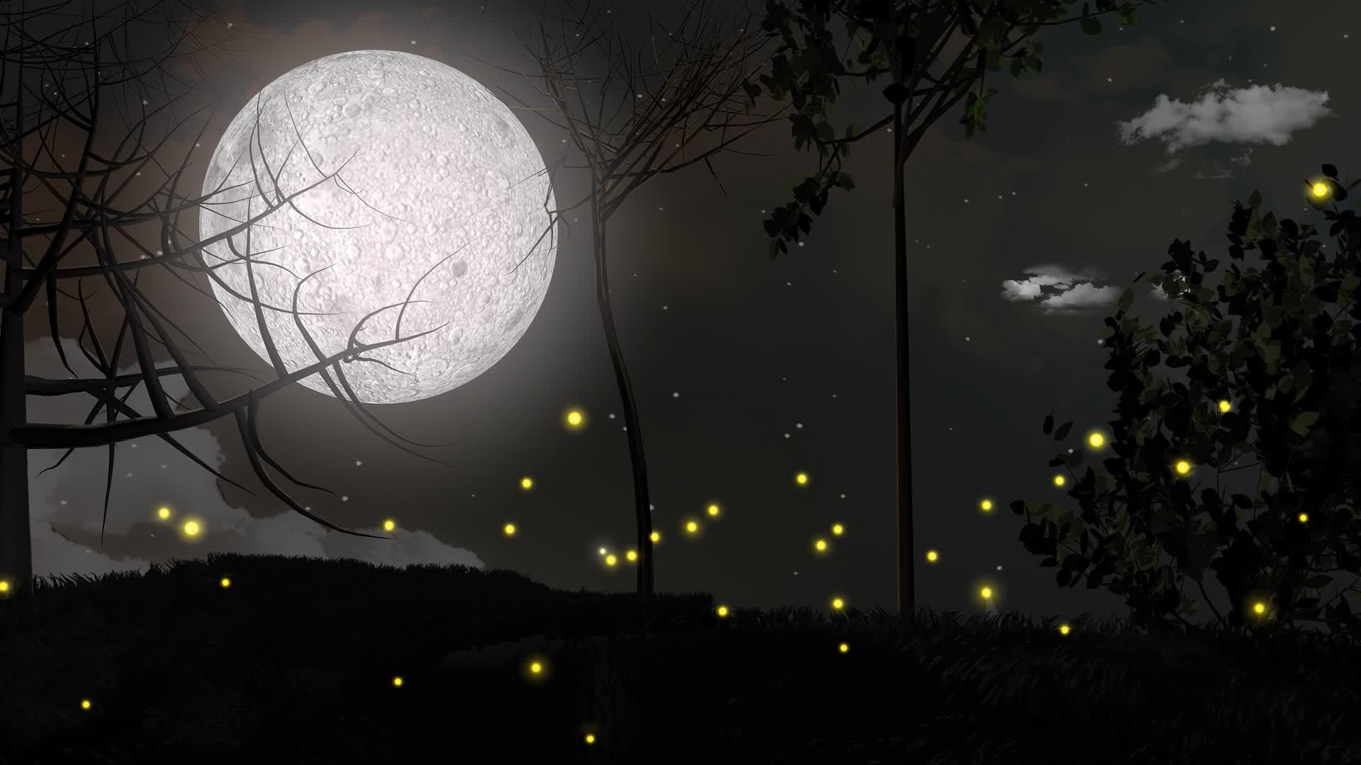 明亮的萤火虫昆虫森林夜晚月亮夜景视频的预览图