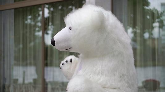 北极熊在户外玩木偶视频的预览图