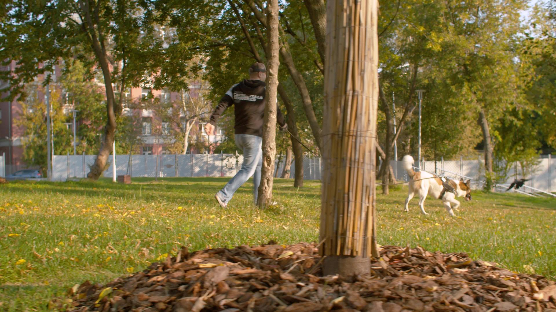 中年男子和狗一起走路视频的预览图