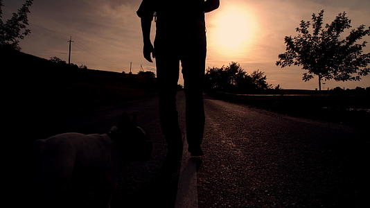 男人和狗一起进入日落视频的预览图