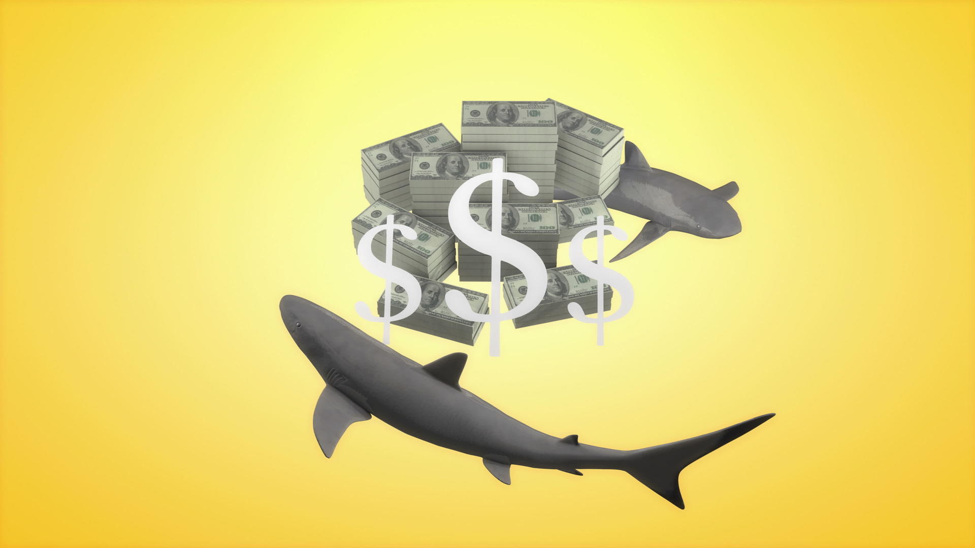 3d鲨鱼贷款概念动画视频的预览图
