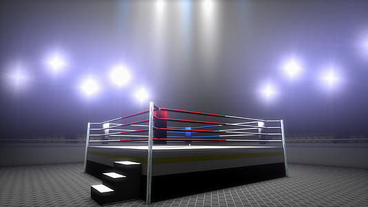 3d模型运动场的空拳击圈视频的预览图
