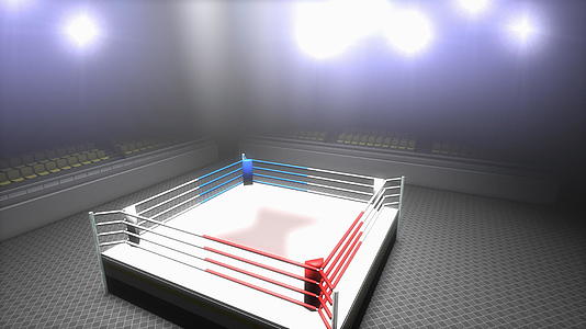 空拳击场视频的预览图