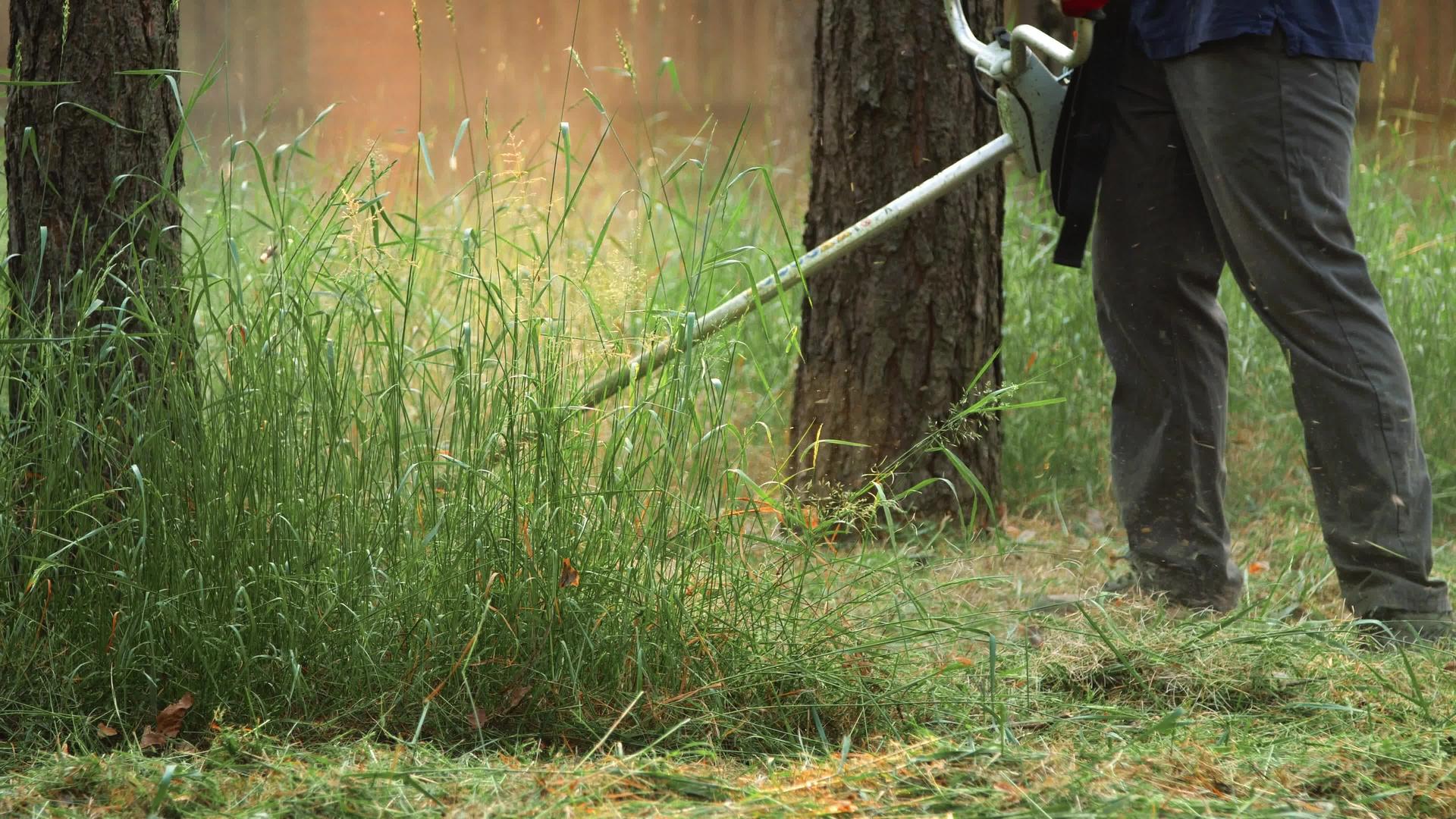 男人用修剪器割草在公园或花园的树上穿深色衣服视频的预览图