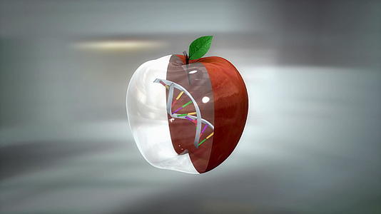 转基因食品和水果视频的预览图