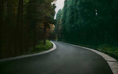 道路在神秘森林中视频的预览图