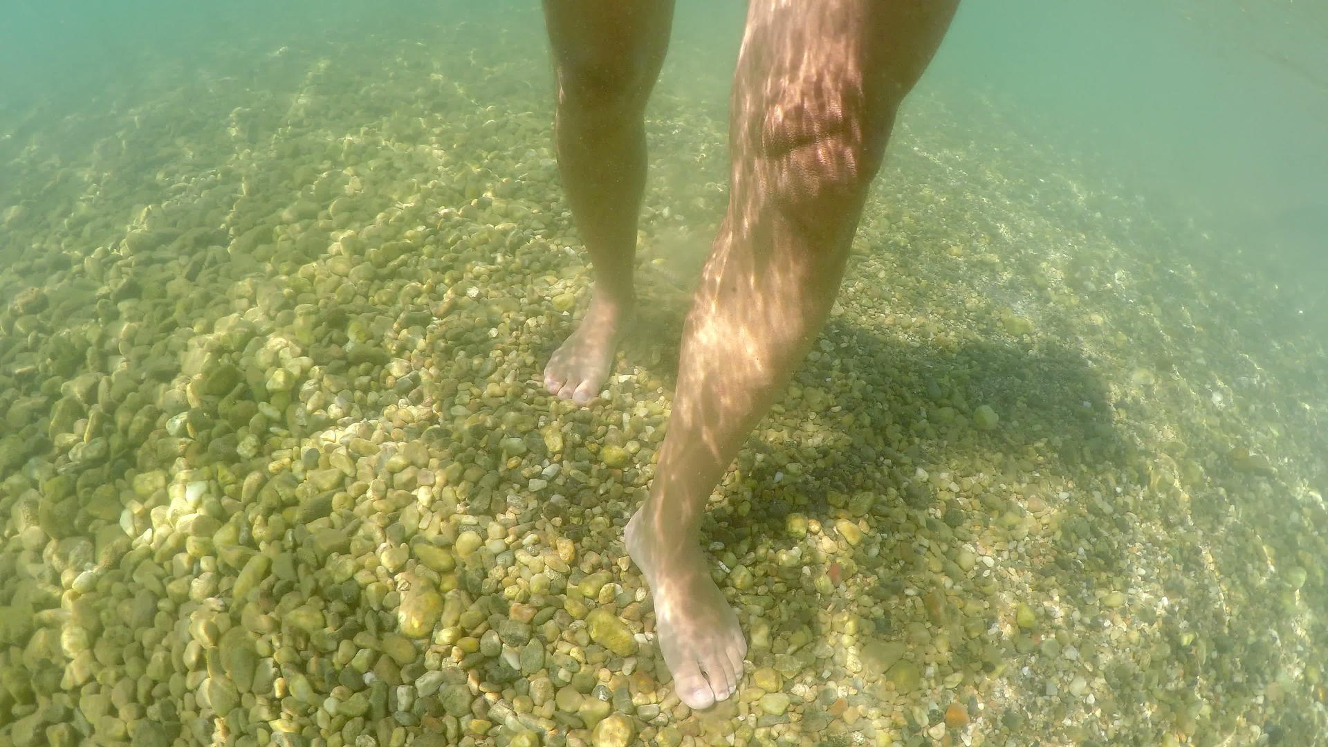 穿着短裤的人在浅海中行走在水下半部分的地下观景视频的预览图