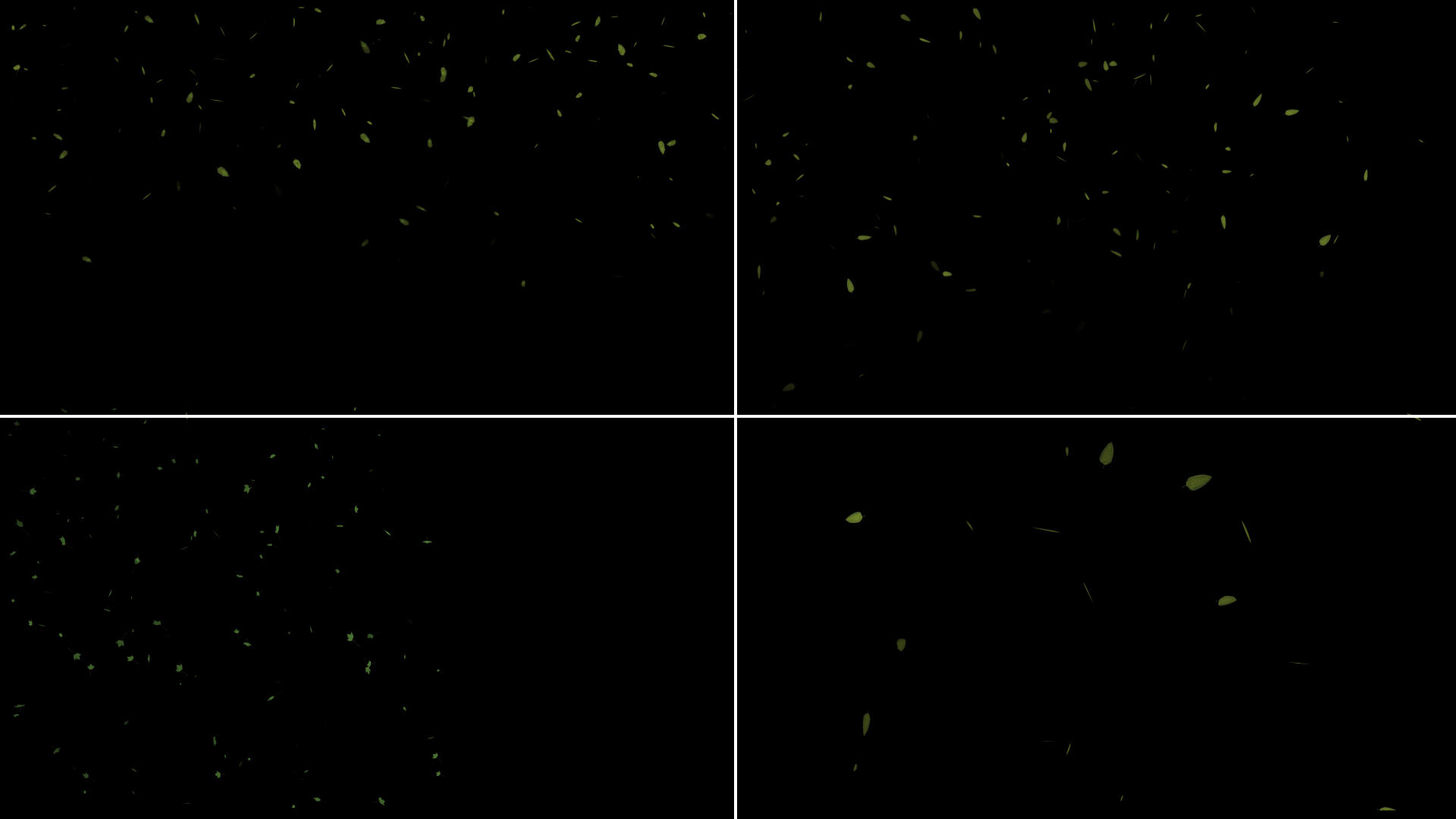 一组漂浮绿叶粒子视频的预览图