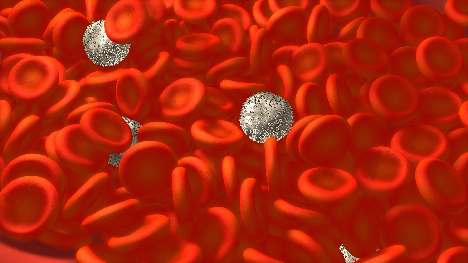 血细胞医学视频的预览图