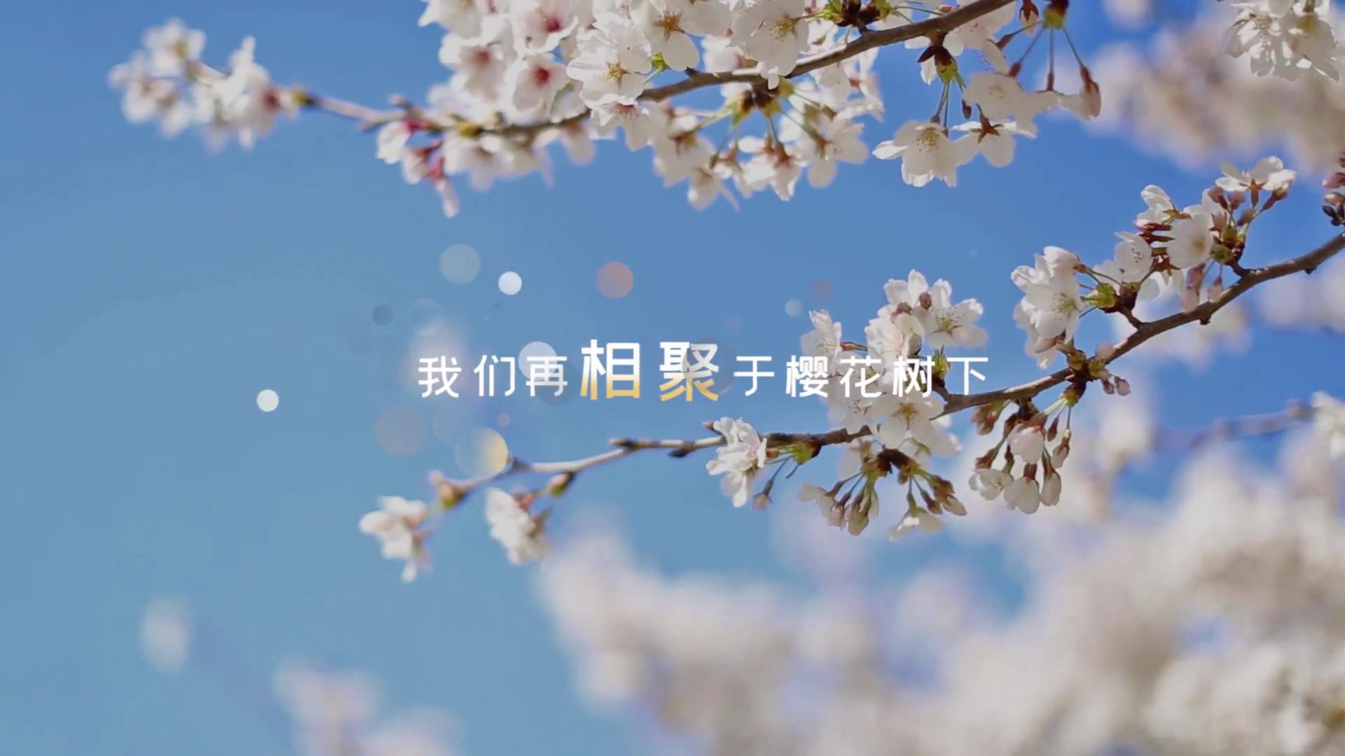 武汉樱花疫情过后唯美光斑实拍视频视频的预览图