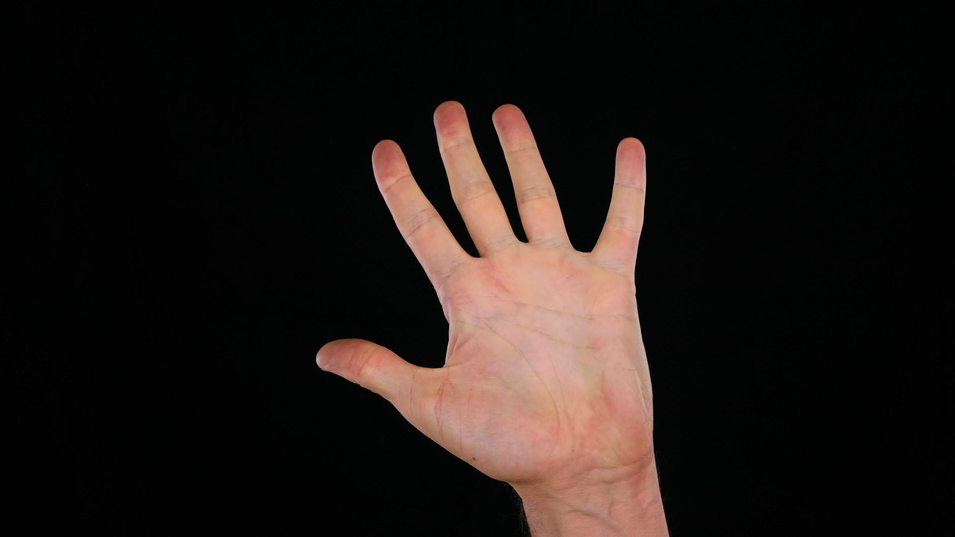 男人用手在黑色背景上数五指手势的概念视频的预览图