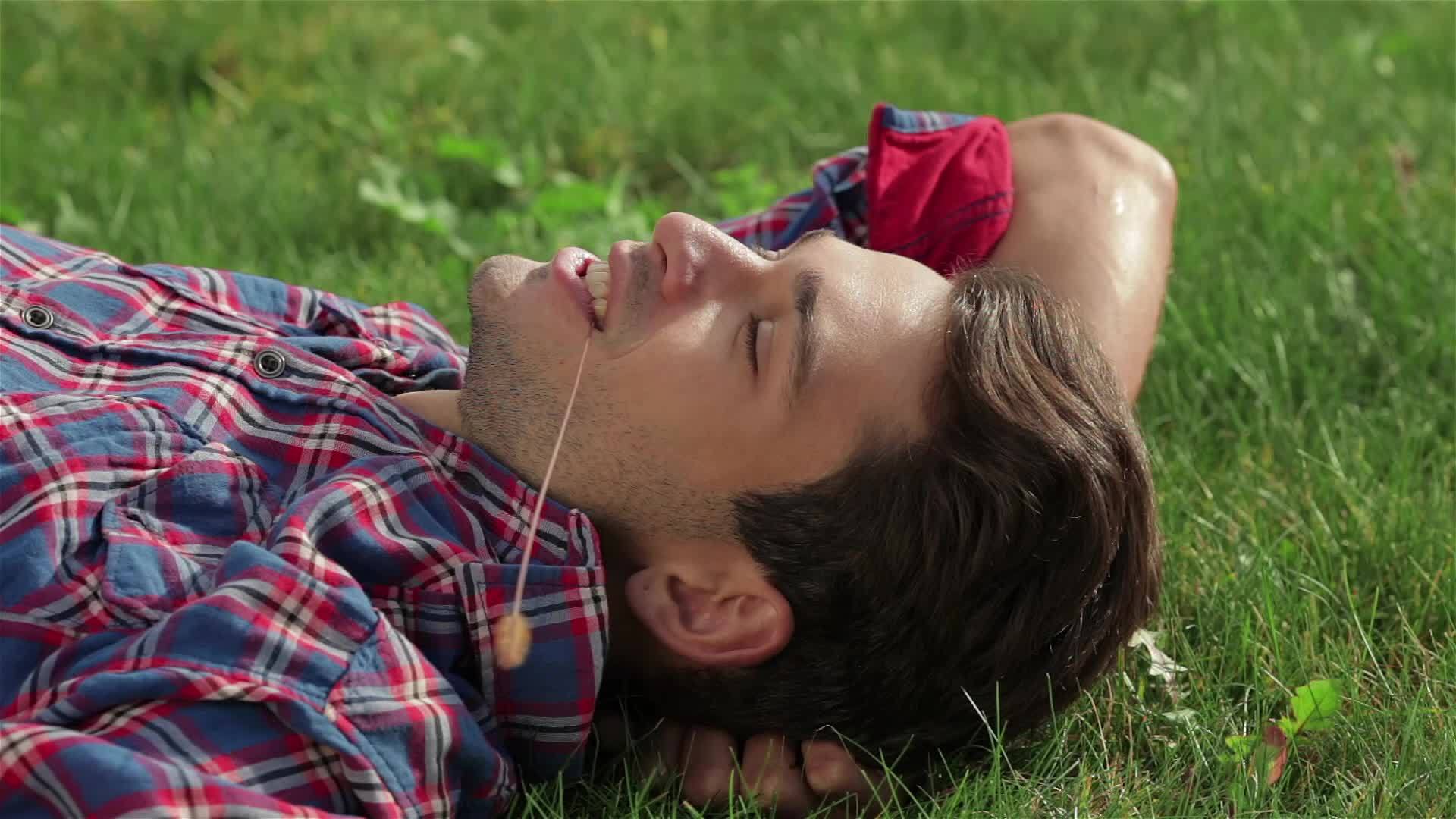 公园里的人躺在草地上视频的预览图