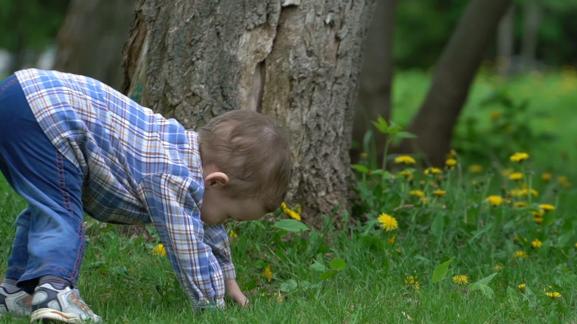 小男孩在公园的草地上跑来跑去视频的预览图