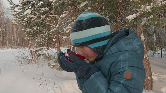 快乐的少年男孩喝热茶在寒冷的冬天在雪林的温泉里散步视频的预览图