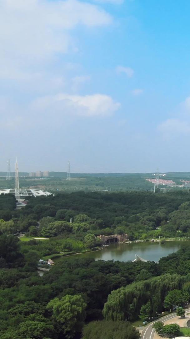 沈阳世博园百合塔标志性景观视频的预览图
