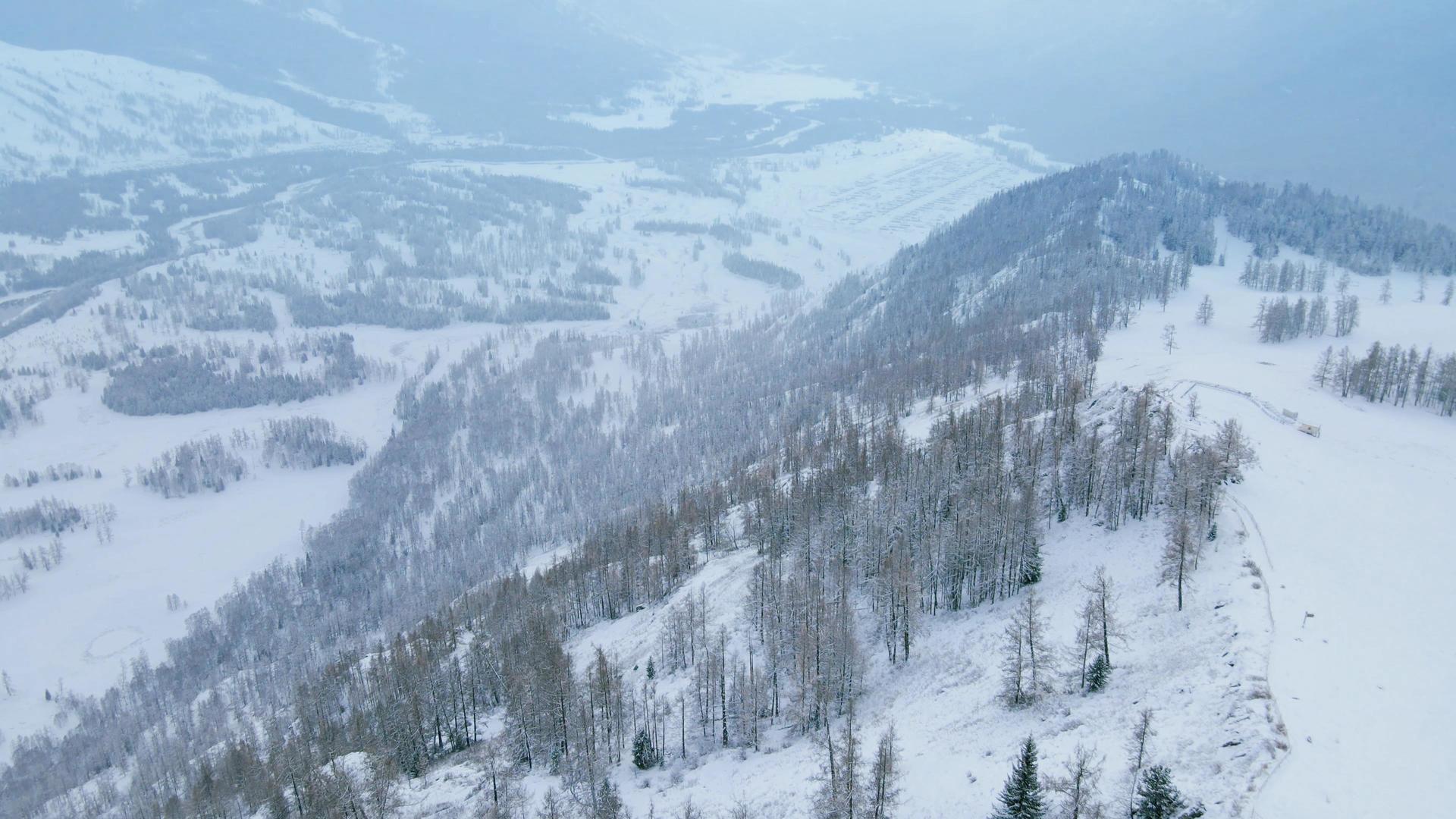 4K航拍森林暴雪景自然风光视频的预览图