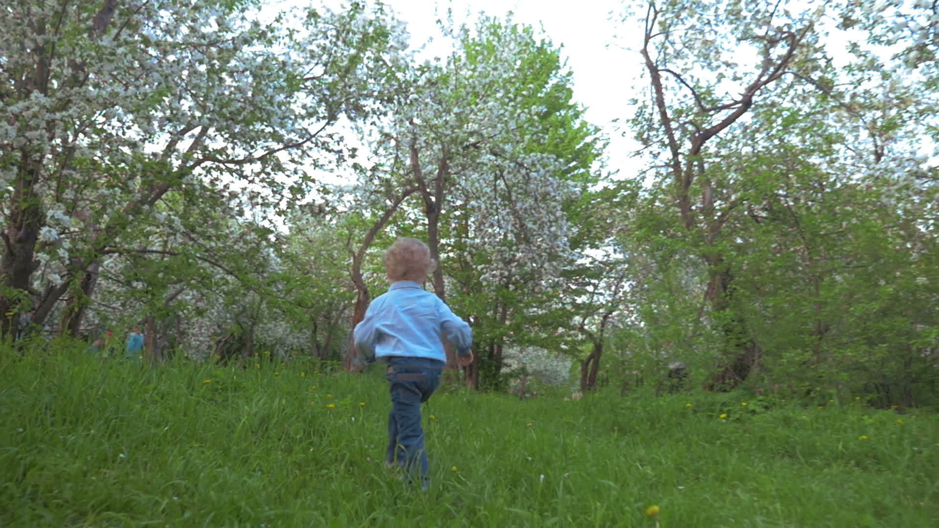 男孩走在花园里视频的预览图