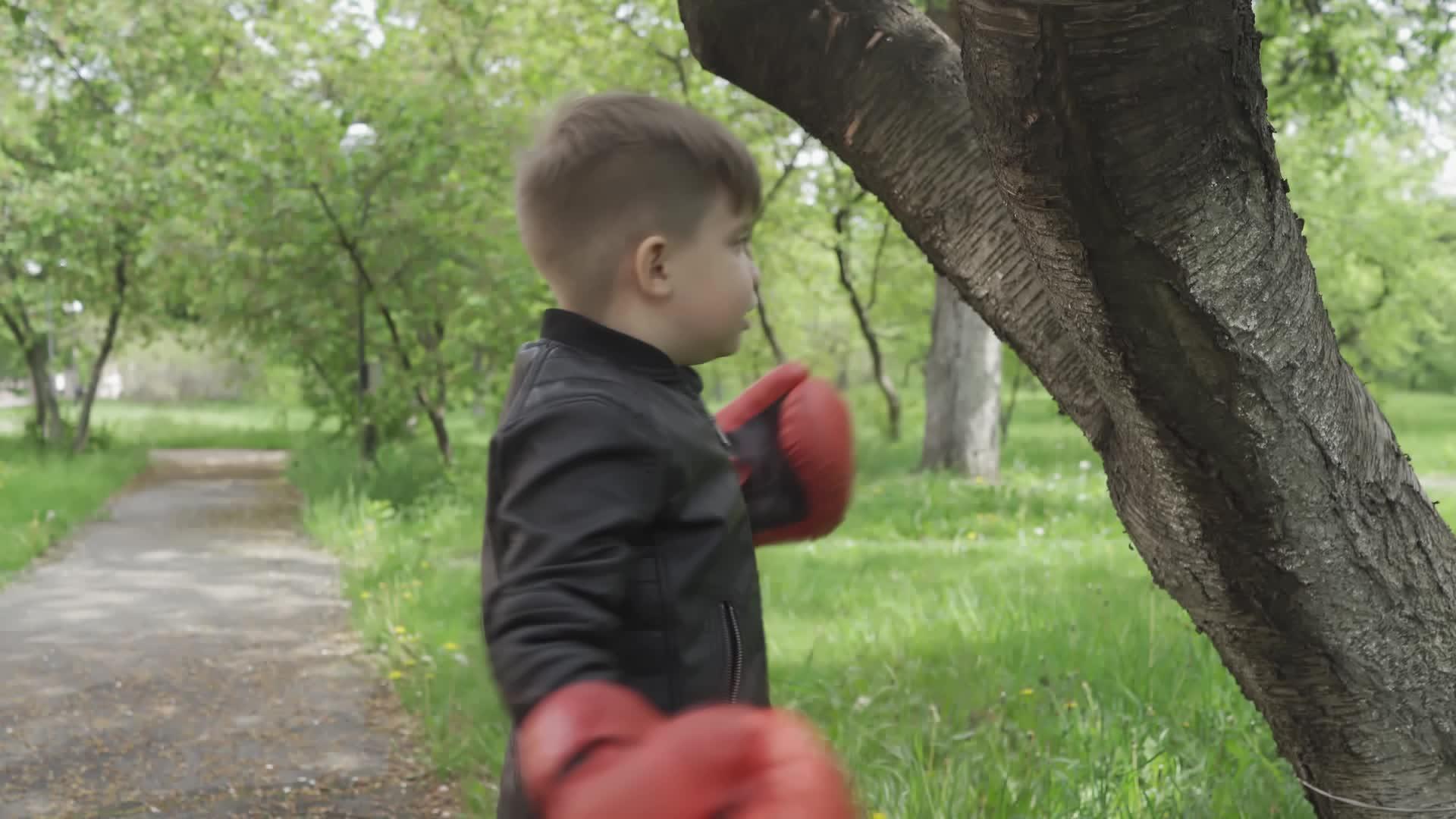 在公园里一个穿着红色拳击手套的强壮男孩撞上了树干视频的预览图