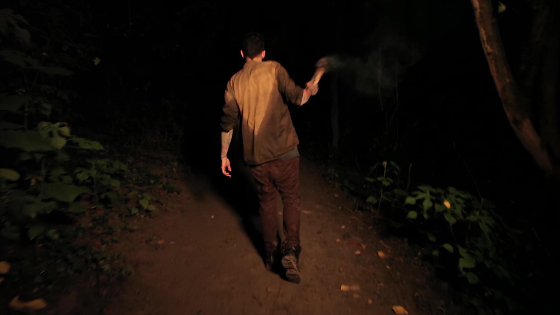 晚上男孩手里拿着火炬7在树林里视频的预览图