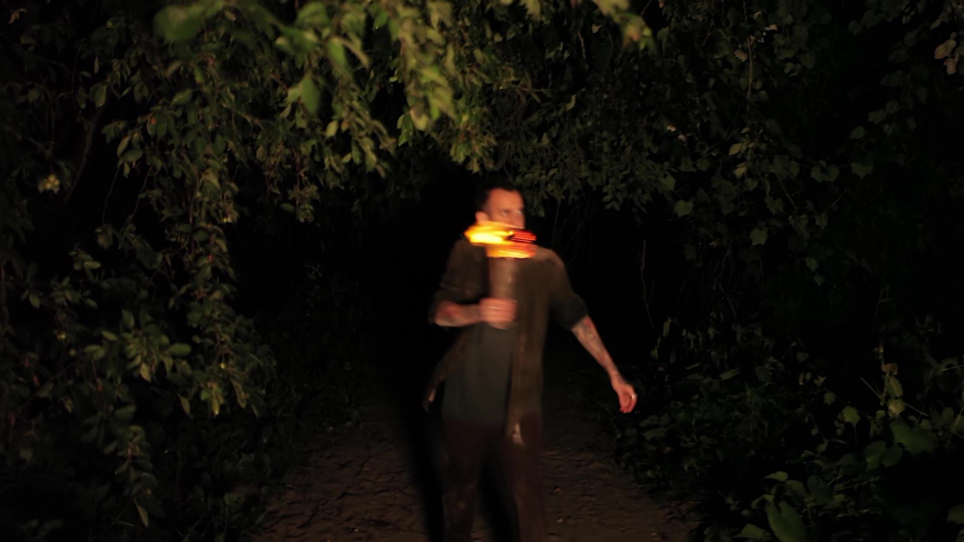 晚上男孩手里拿着火炬2在树林里视频的预览图