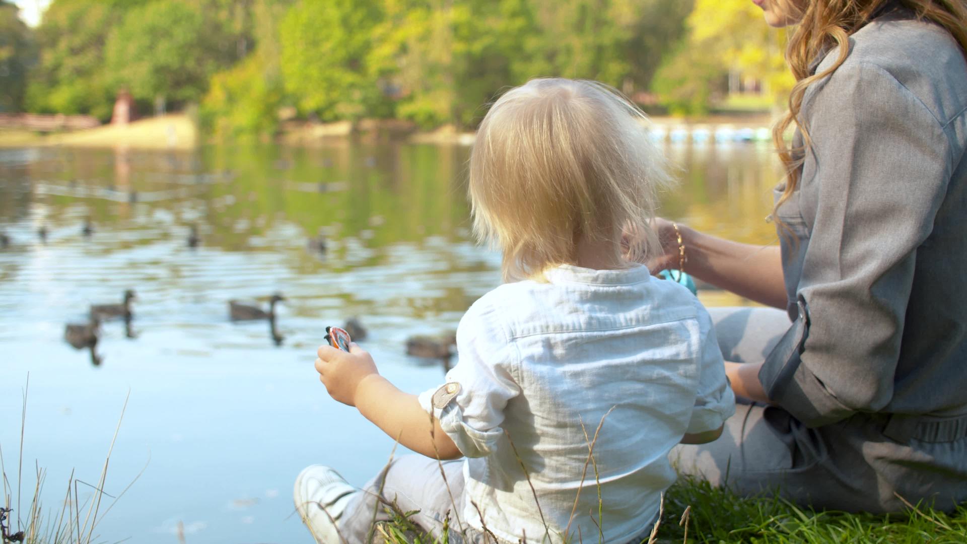 一位年轻的母亲和她的儿子正在湖边喂鸭子视频的预览图