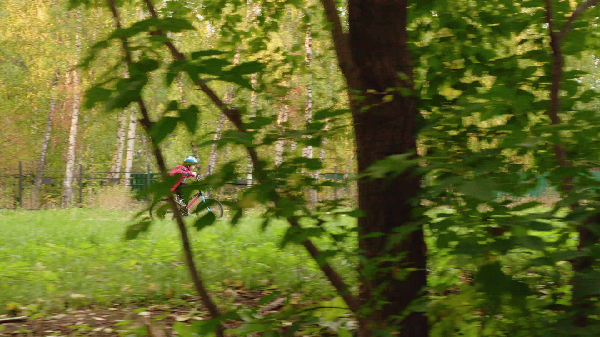 男孩在秋季公园骑自行车多莉在城市公园骑自行车视频的预览图