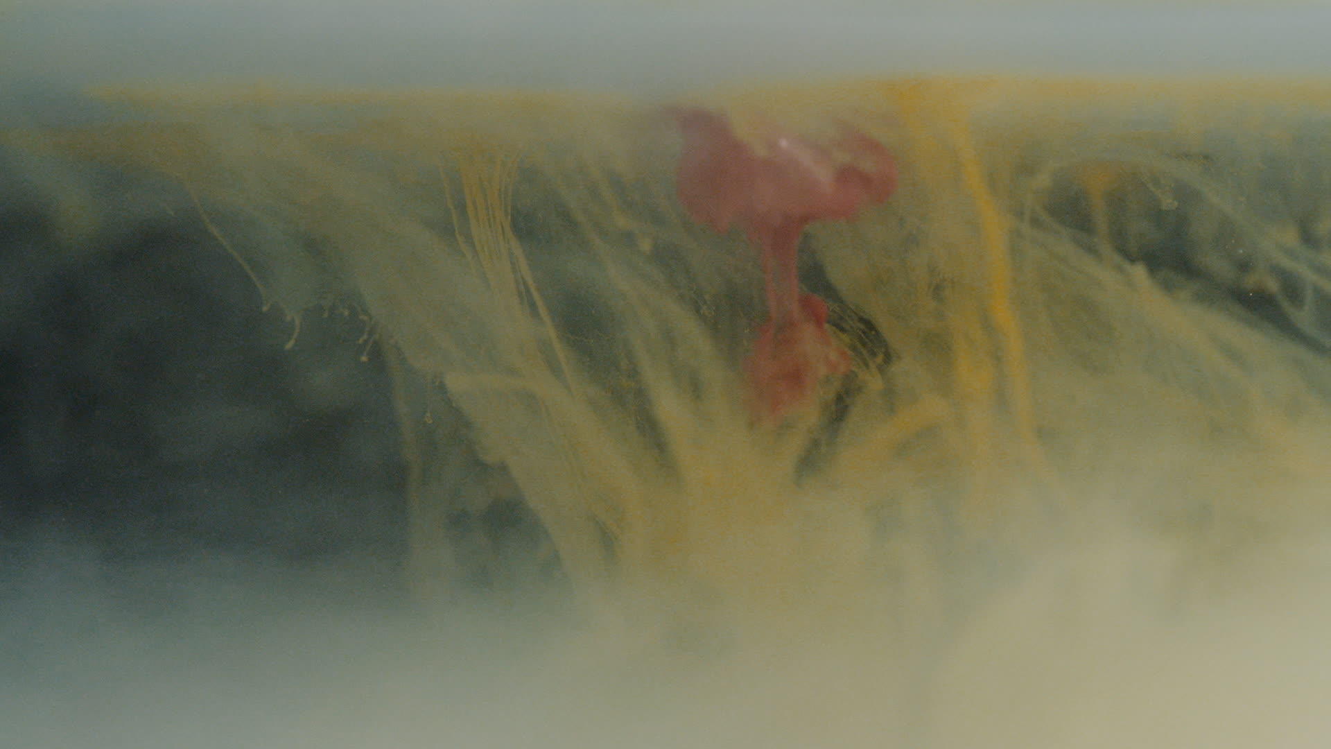 水下溶解的黄色和红色颜色视频的预览图