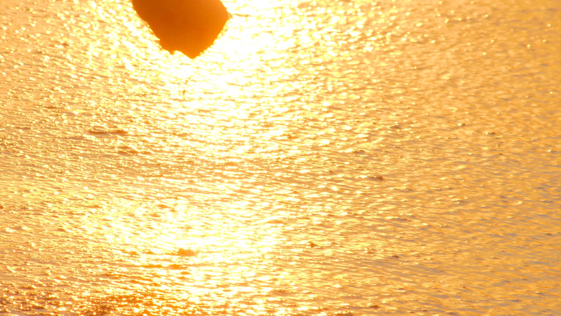 爱情主题爱情象征着日落和大海的背景视频的预览图