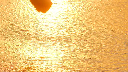 爱情主题爱情象征着日落和大海的背景视频的预览图