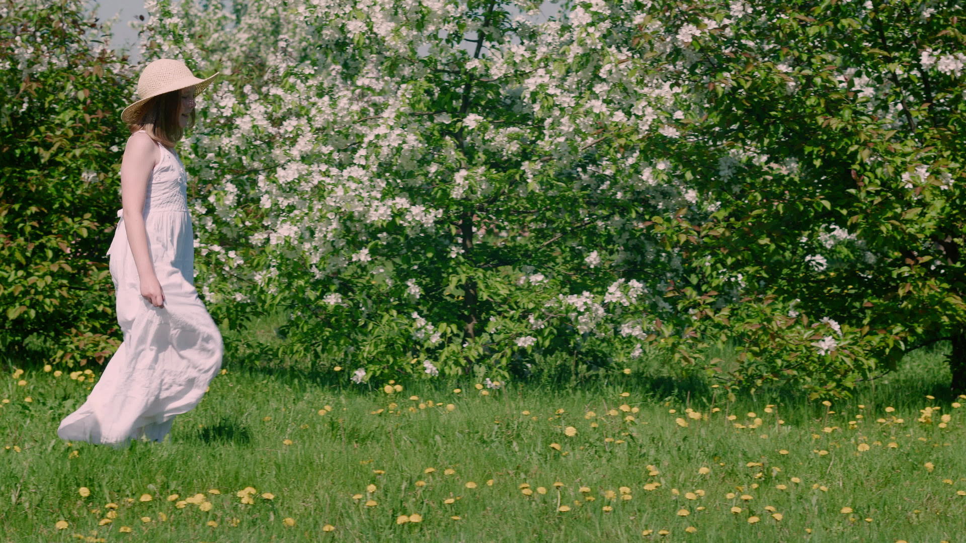 无忧无虑的女孩戴着帽子和长长的白色连衣裙在果园里开花视频的预览图