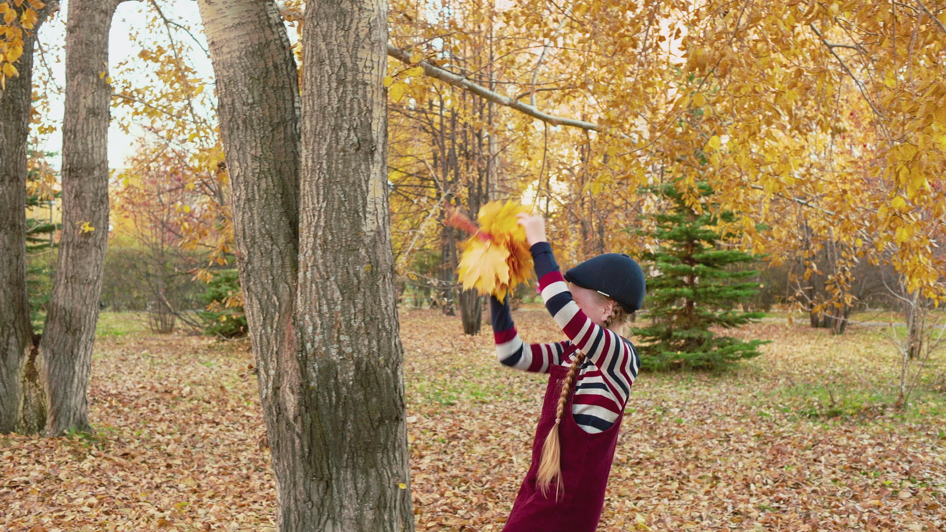 秋天公园里无忧无虑的女孩扔黄枫花束微笑的女孩视频的预览图