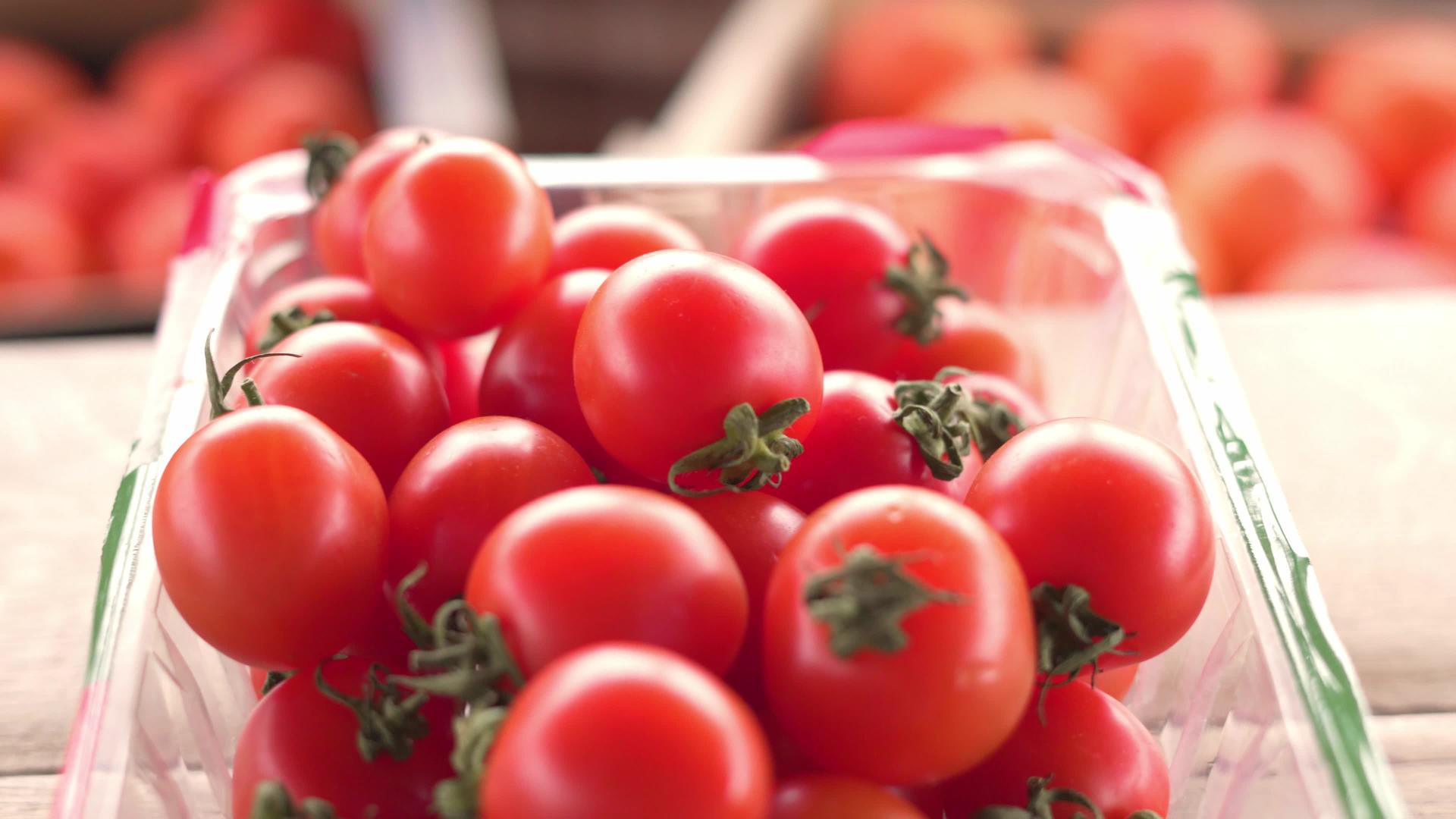 小红樱桃番茄躺在太阳的塑料碗里视频的预览图