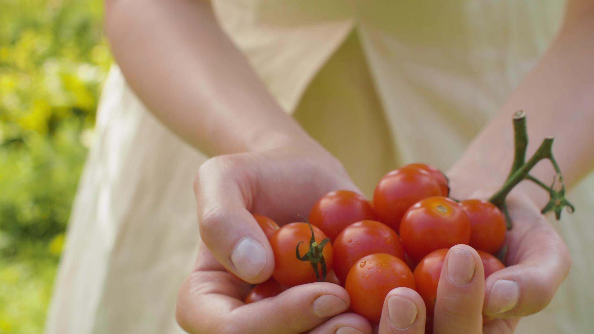女人握着西红柿的手视频的预览图