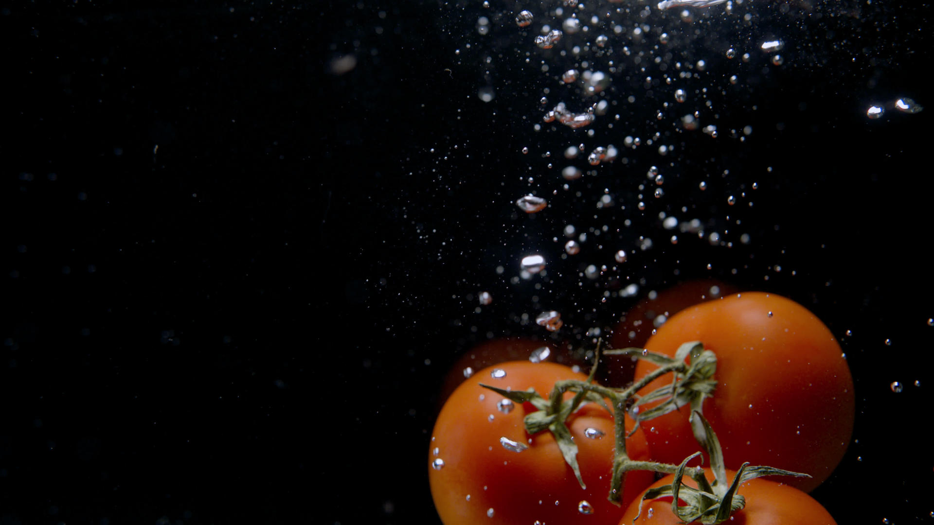 一堆西红柿掉进水里视频的预览图