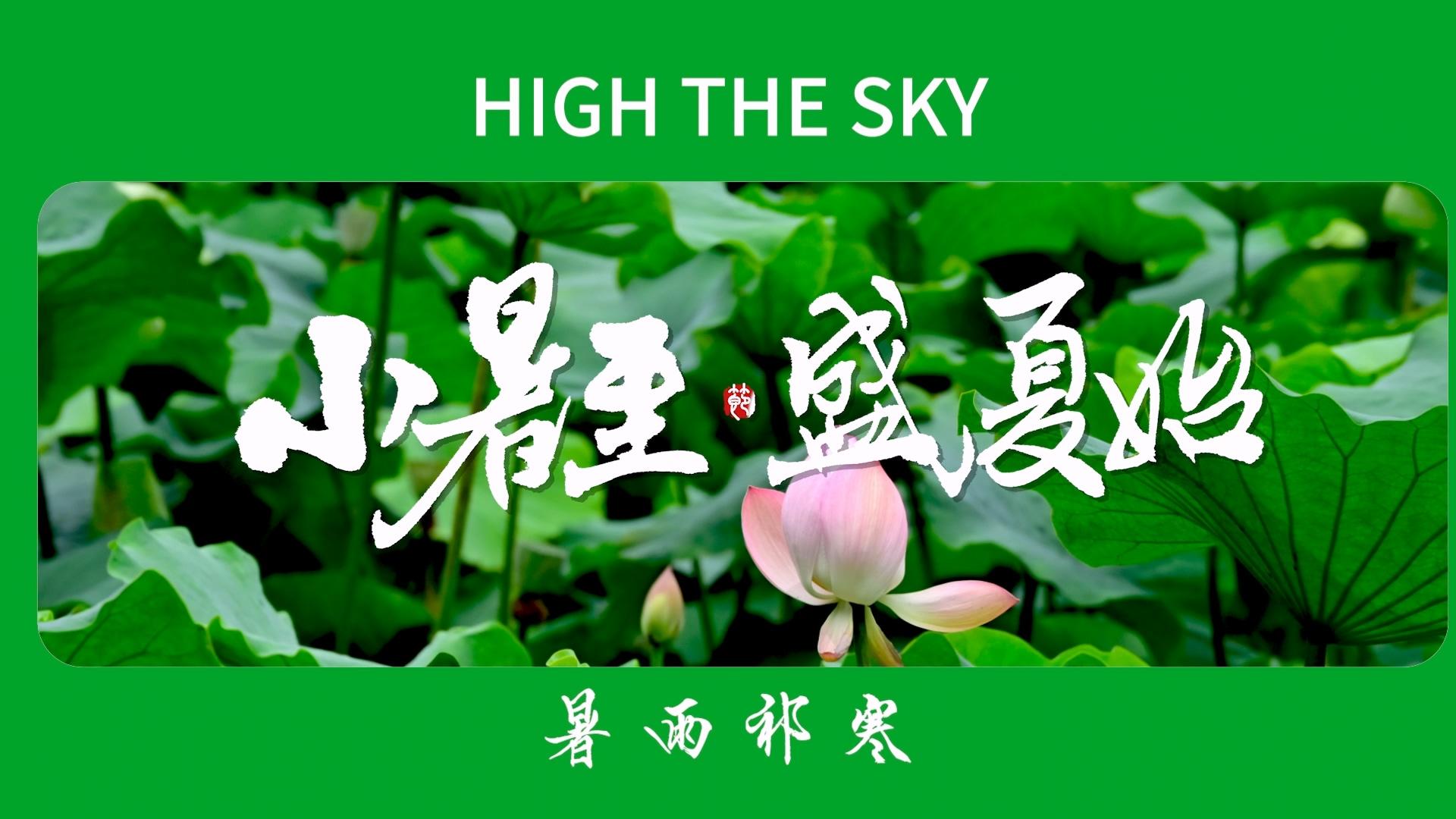PR模板模板展示清新小暑图文视频的预览图