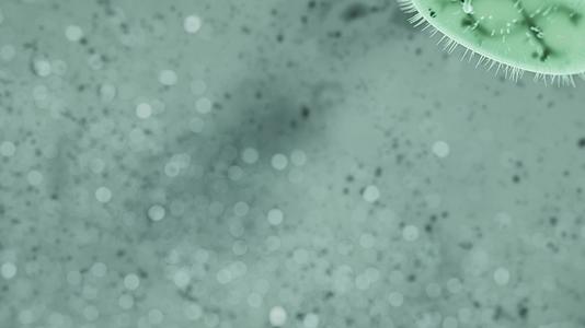 绿色背景的3DEscherichia用于大肠杆菌动画视频的预览图