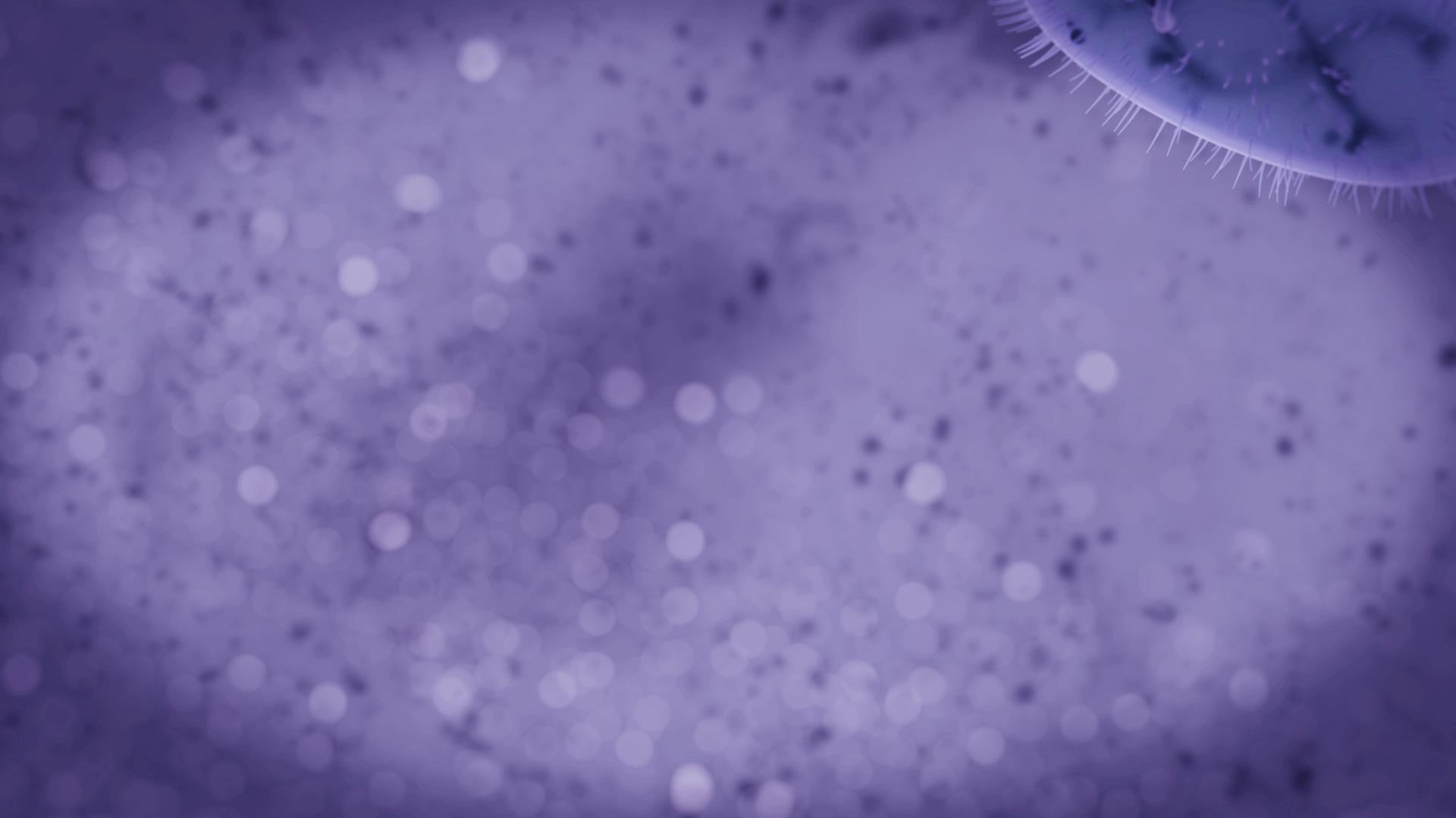 紫色背景的3DEscherichia有大肠杆菌动画视频的预览图
