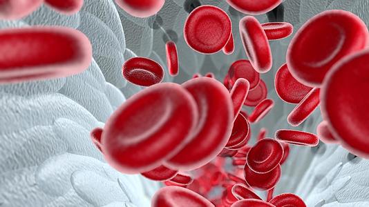 白色背景的3D血细胞流动动画使用阿尔法通道视频的预览图