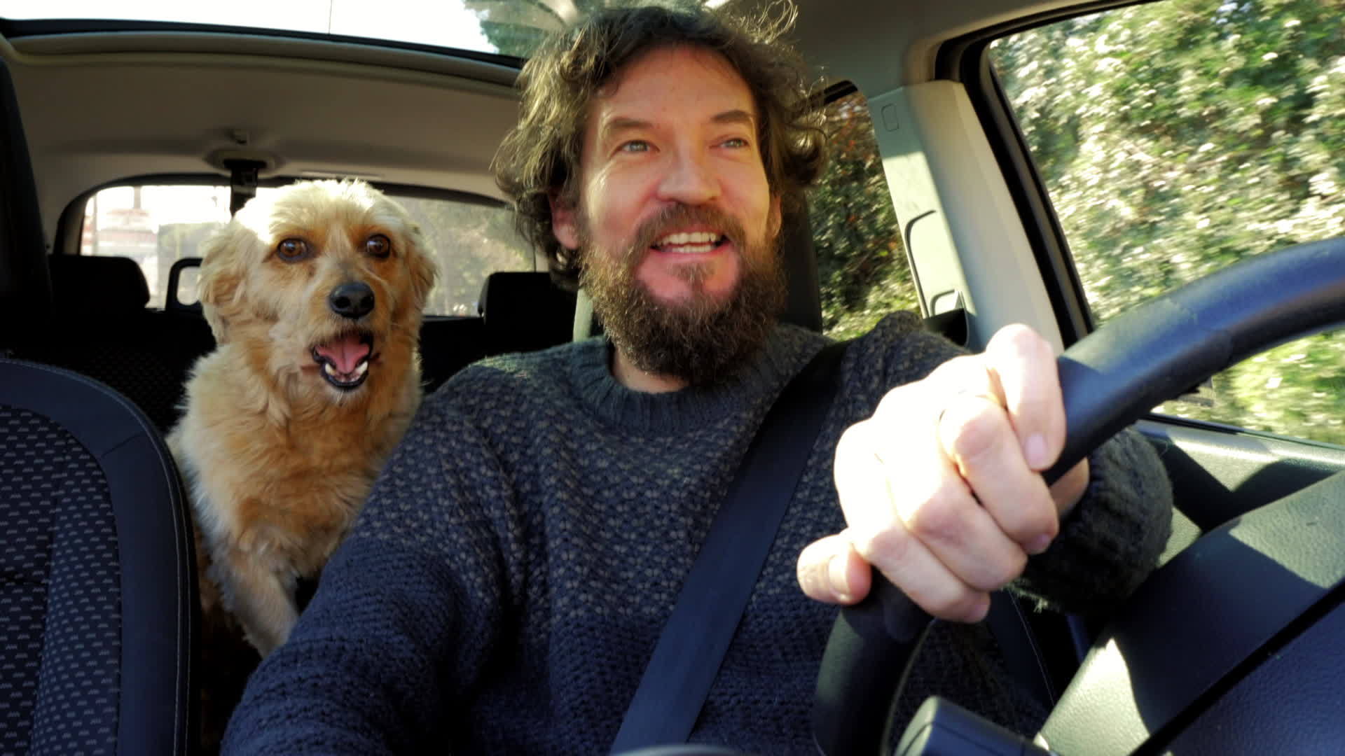 被狗亲吻的快乐男人开车时感觉没有和谐视频的预览图