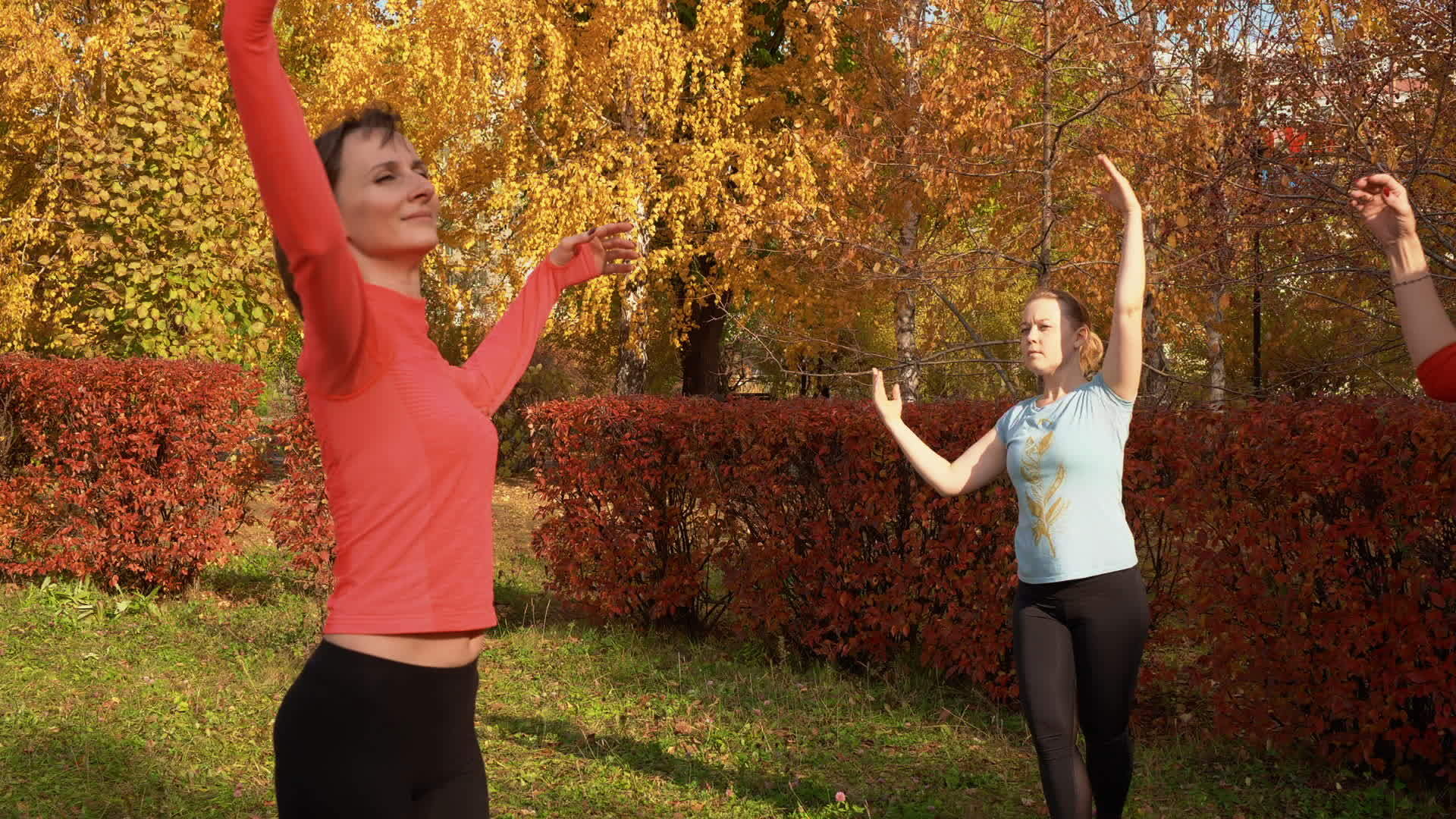 秋天的一天苗条的女人在五颜六色的公园里练习port视频的预览图