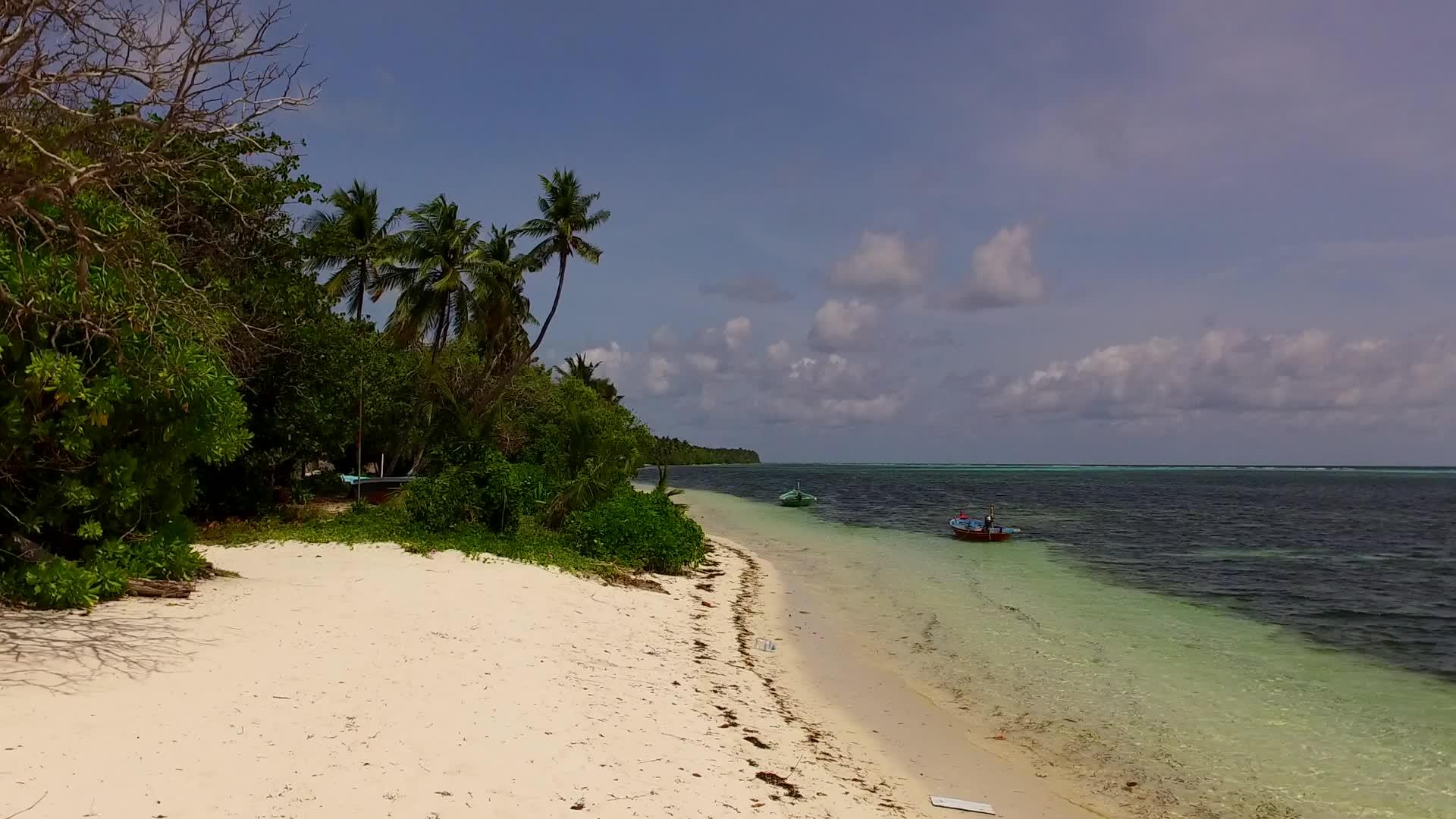 美丽的度假胜地在蓝绿色的海洋和棕榈树附近的白沙背景下视频的预览图