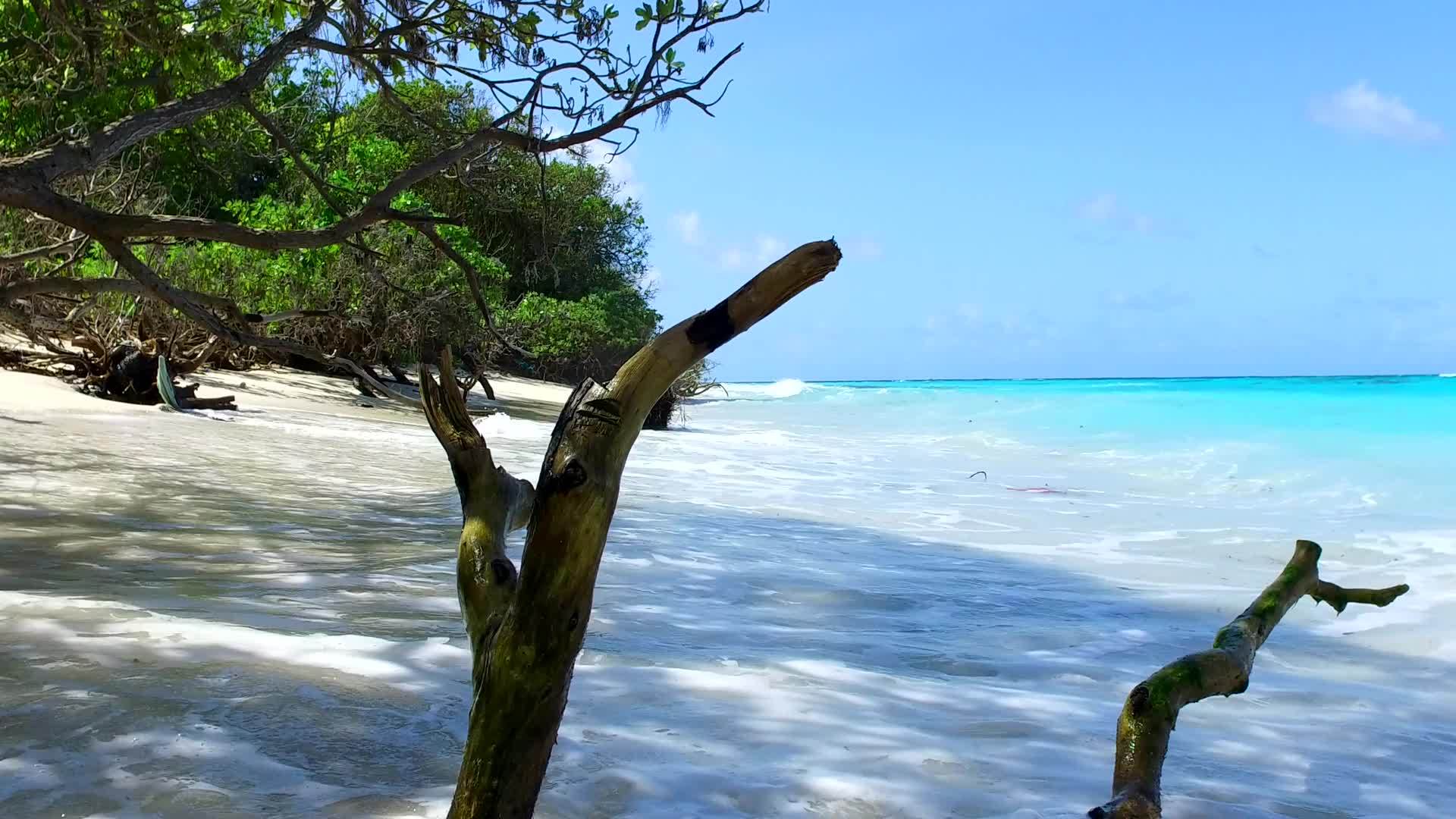 在沙洲附近的蓝海和白沙的背景下近距离欣赏轻松的海滩视频的预览图